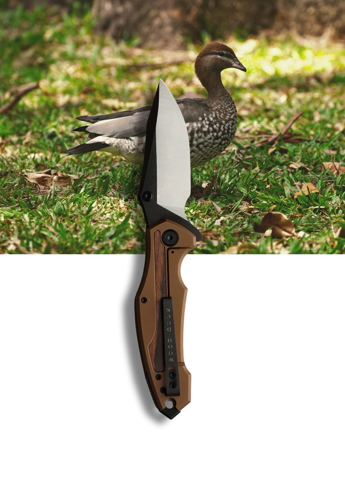 "Wendy" | The Wood Duck