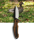 "Wendy" | The Wood Duck
