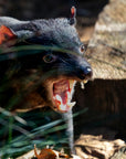 Trevor the Tassie Devil | The BBQ Boning Knife