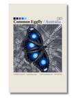 Common Eggfly butterfly art card by Koi Knives