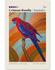 Crimson Rosella art card by Koi Knives