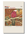 Galah art card by Koi Knives