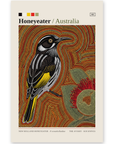 New Holland Honeyeater art card by Koi Knives