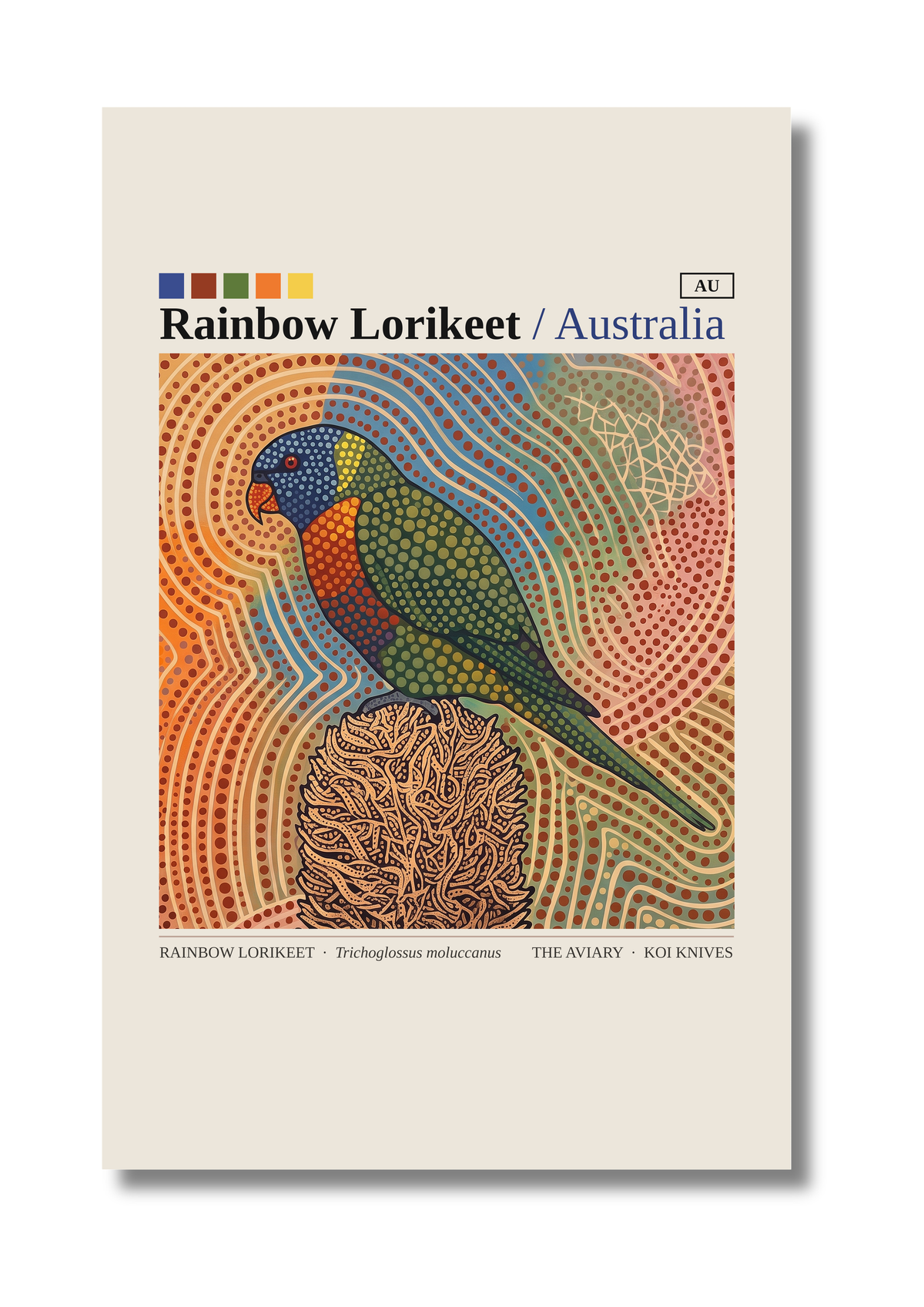 Rainbow Lorikeet art card by Koi Knives