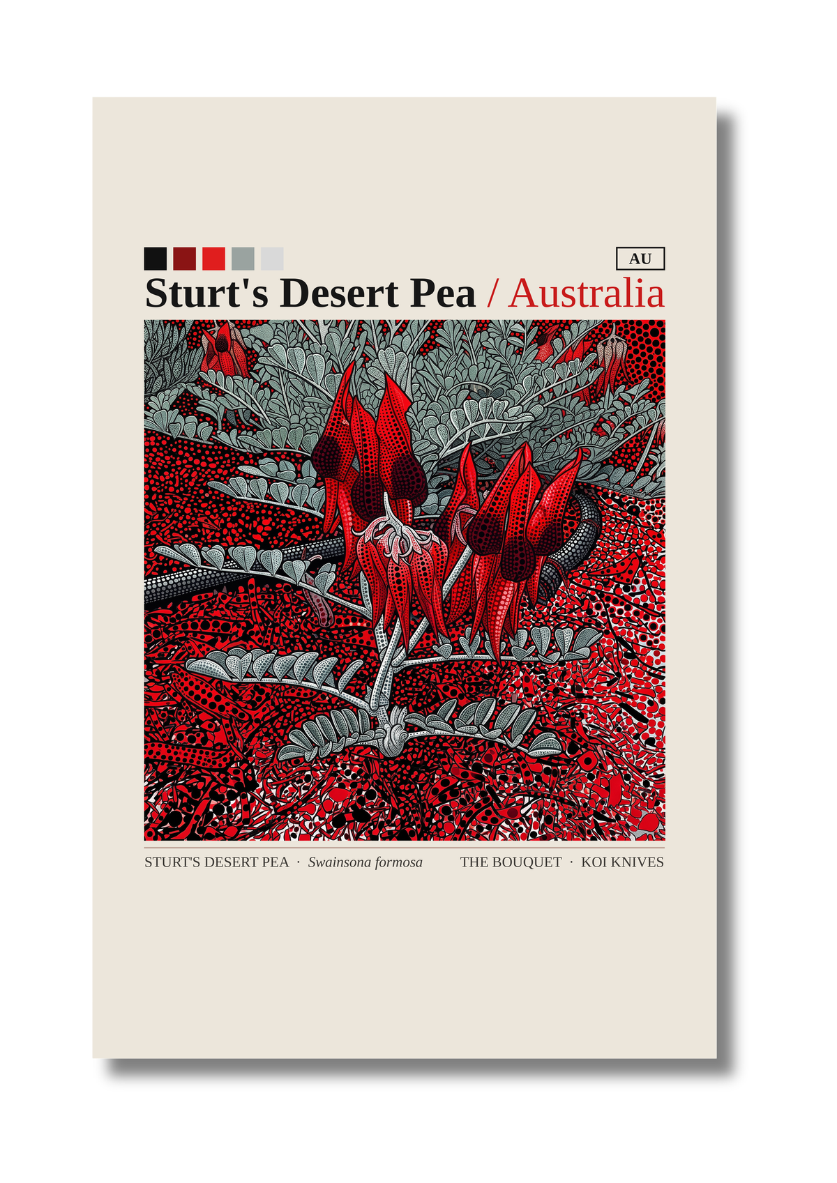 Sturt's Desert Pea art card by Koi Knives