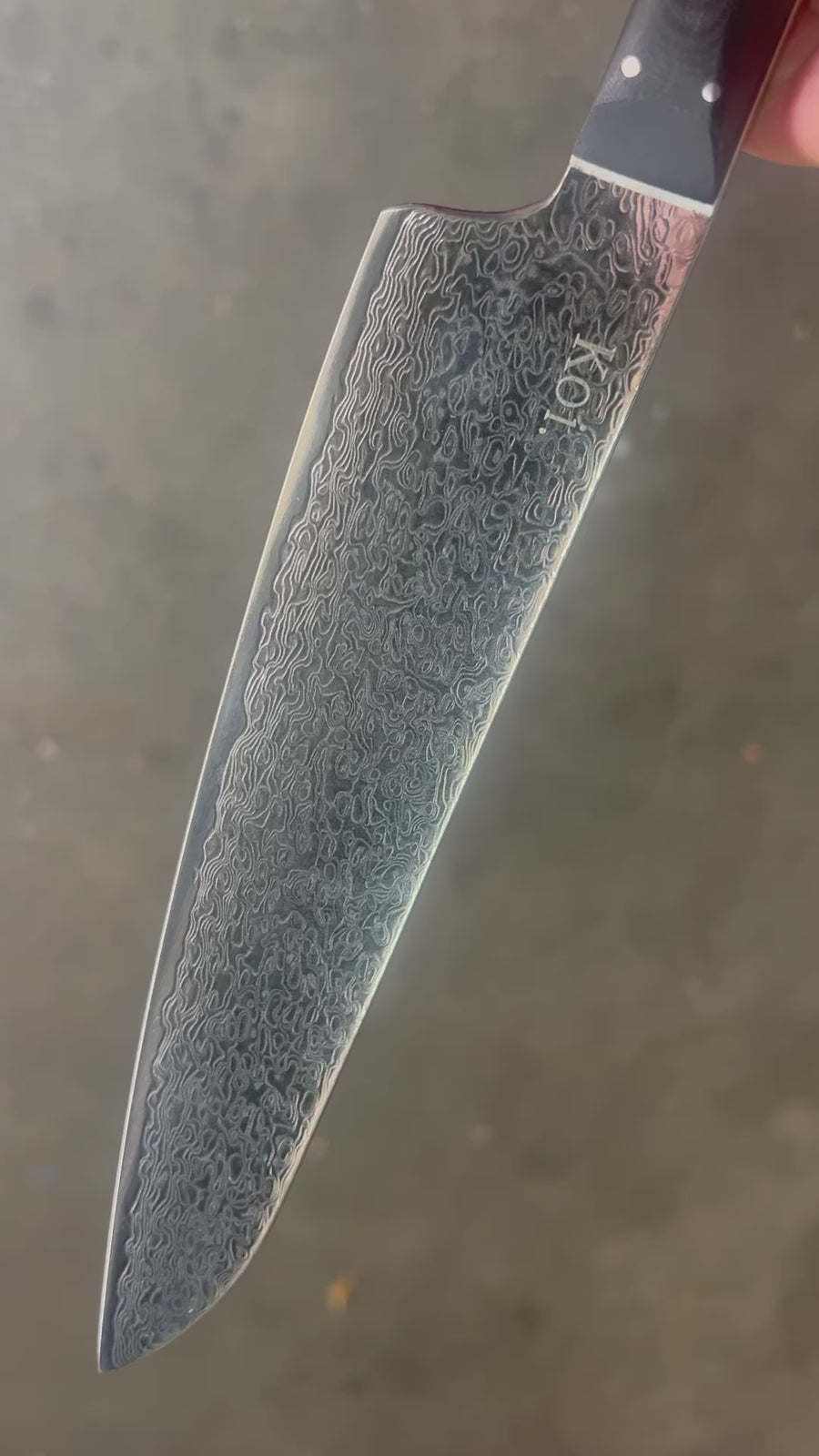 Gyuto Chef's Knife | "Cow Sword" | Ninja Collection
